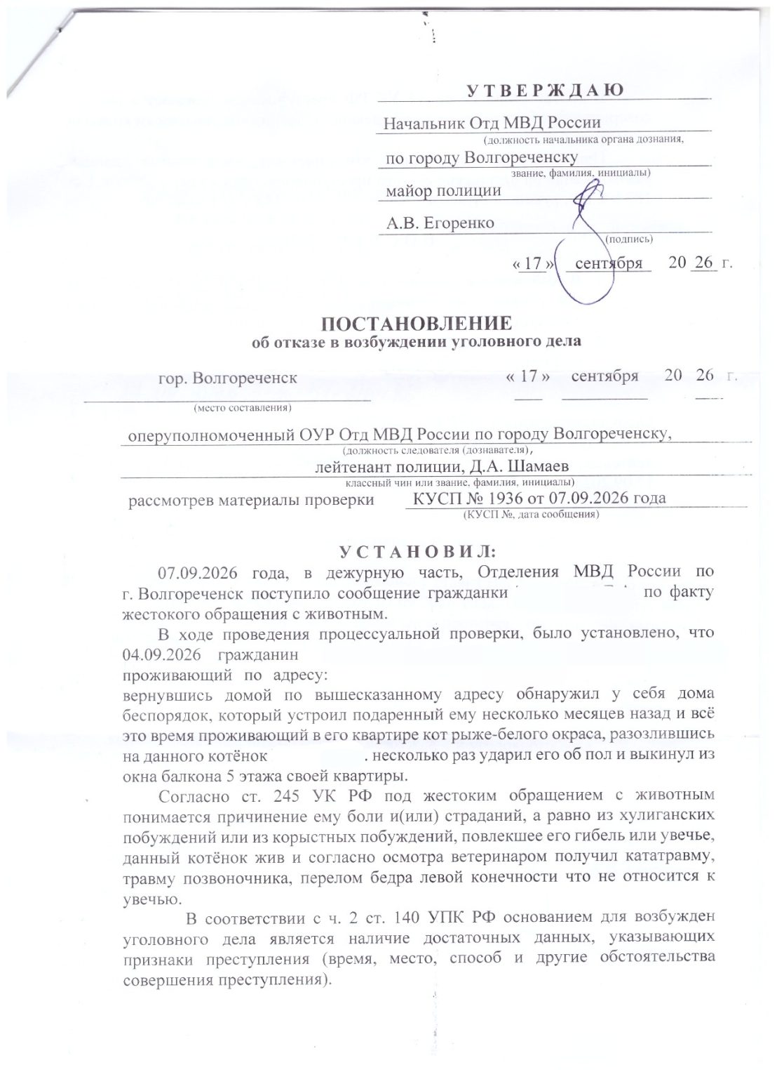 Под Костромой котенка выбросили с пятого этажа, а полиция отказалась возбуждать дело