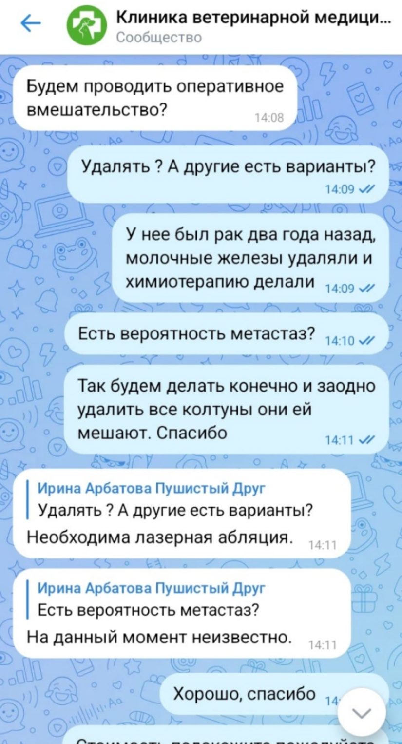 Пушистой Снежане из Костромы нужна помощь в борьбе с раком