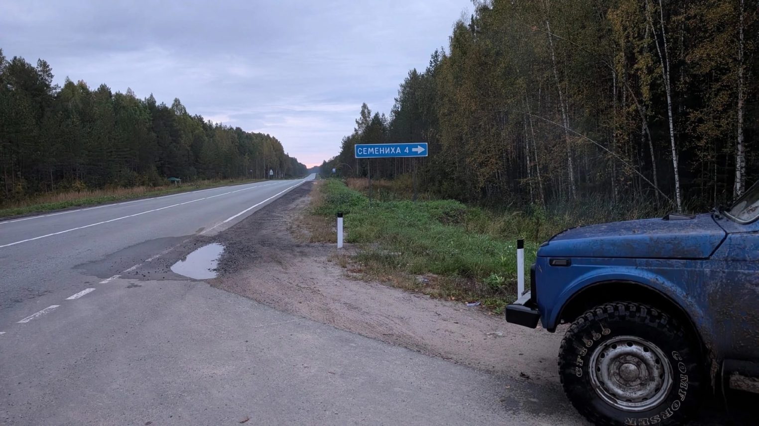 По Костромой нашли трех женщин, таинственно исчезнувших в лесу