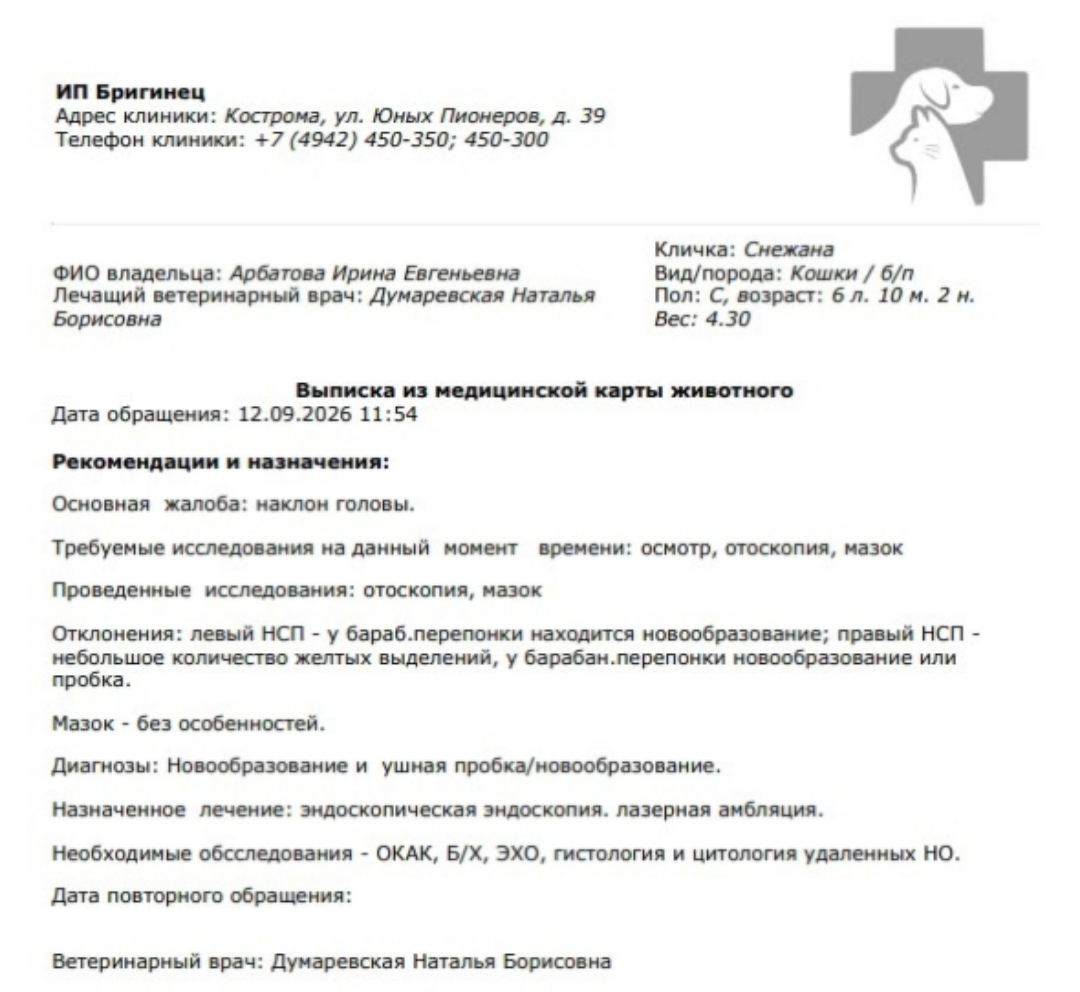 Пушистой Снежане из Костромы нужна помощь в борьбе с раком