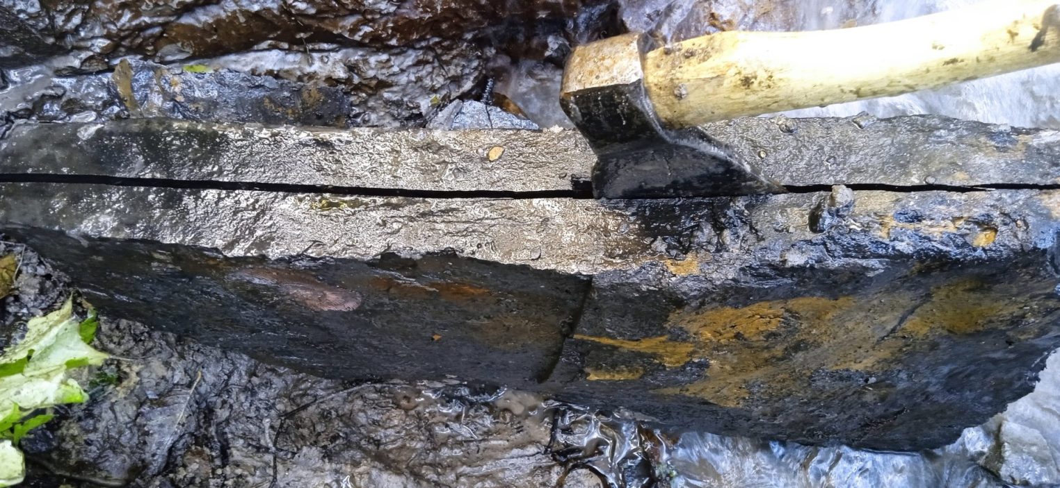 На берегу реки в Костромской области нашли раковины древних моллюсков