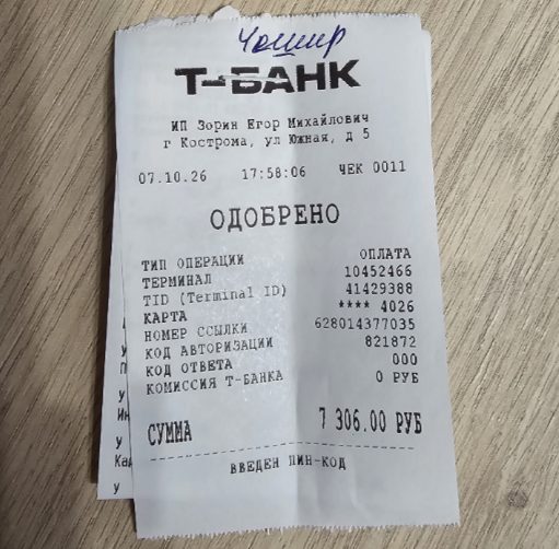 Костромской приют просит помощи: котик Чешир отказался от еды из-за болезни