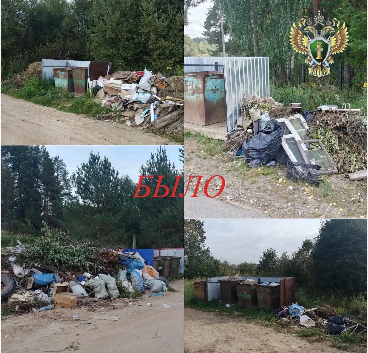 В костромском райцентре мусор было не видно из-за мусора