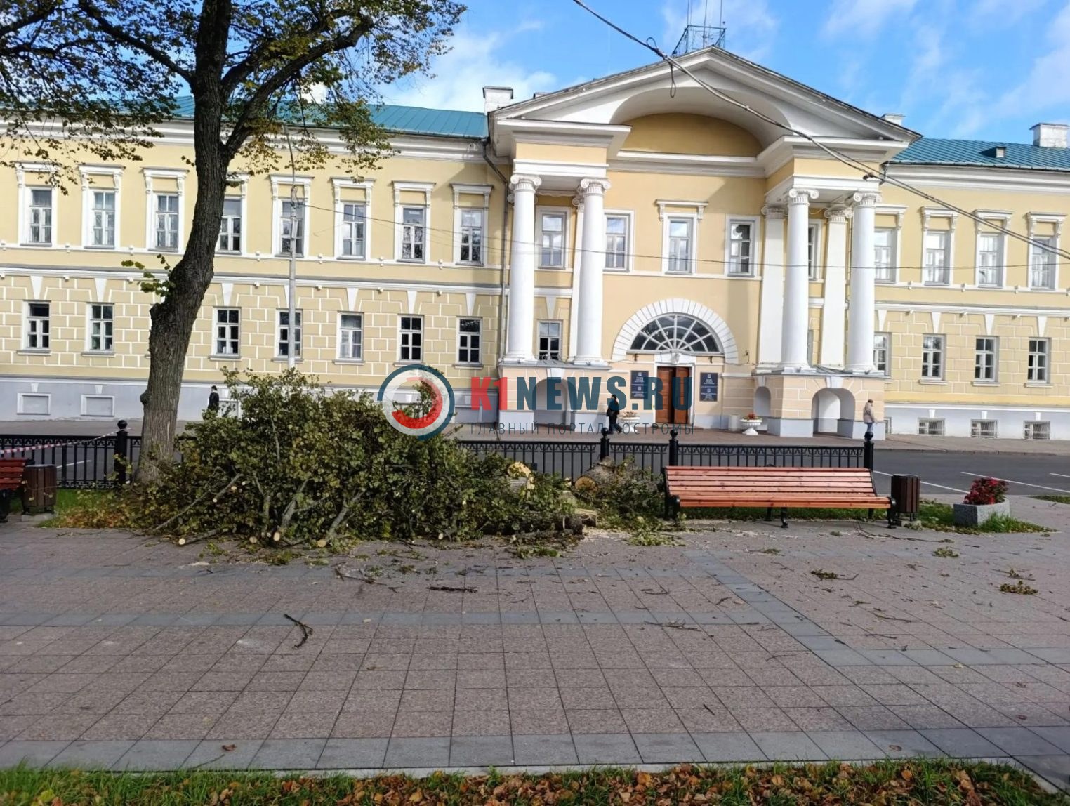 Горожане обеспокоены происходящим в Ботниковском сквере Костромы