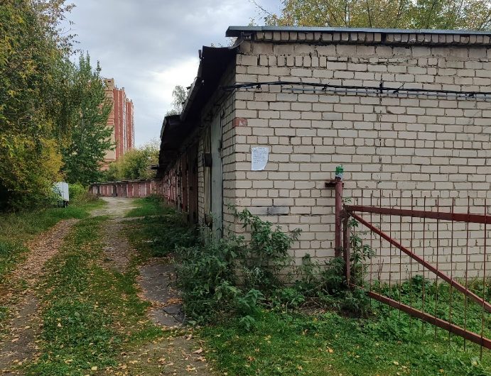 Шанс на жизнь: Блэку из костромского приюта требуется помощь неравнодушных