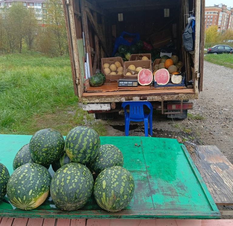 Нелегальных продавцов в Костроме поймали и оштрафовали на сотню тысяч рублей