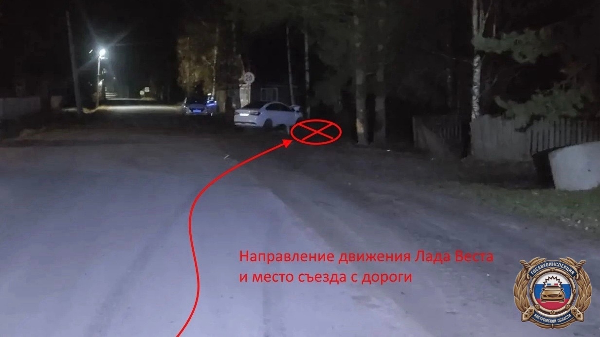 В костромском райцентре пьяный 18-летний водитель врезался в дерево
